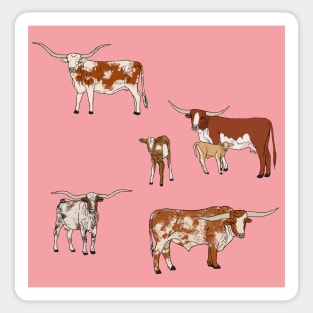 Texas Longhorn Pattern Pink Sticker